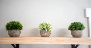 Read more about the article These Things are Better Thrown Out to Improve Your Home Interior