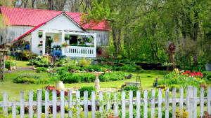 Read more about the article 5 Tips for Landscaping Your Garden