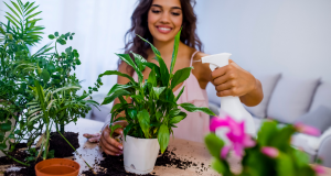 Read more about the article Home Decorating Tips: Inexpensive Decorating