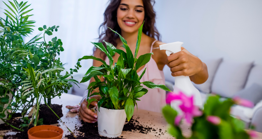 You are currently viewing Home Decorating Tips: Inexpensive Decorating