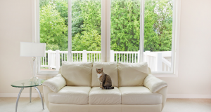 Read more about the article Why Consider Aluminum Windows for your Next Home Improvement Project