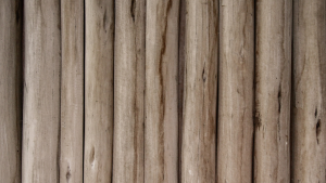 Read more about the article Cleaning and Hydrating Old Wood
