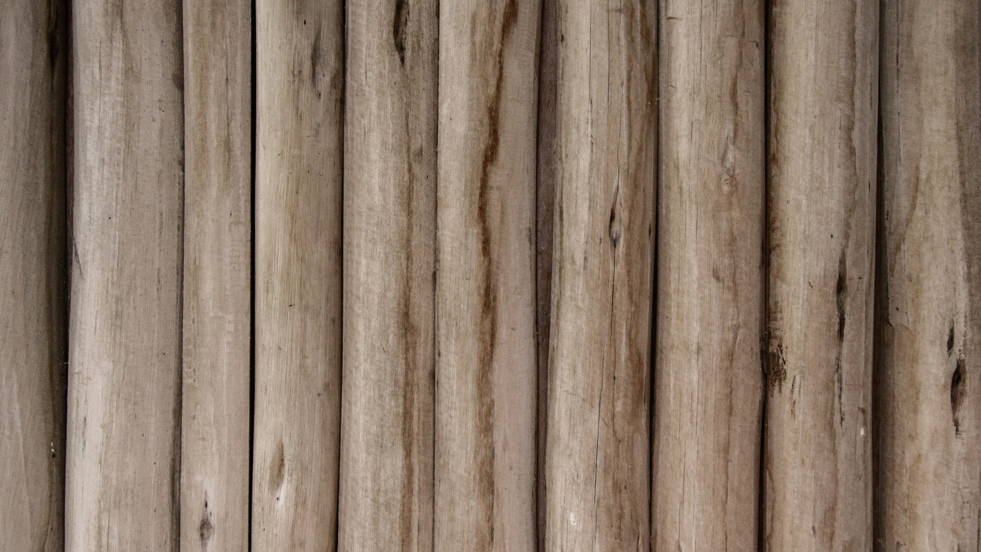 You are currently viewing Cleaning and Hydrating Old Wood
