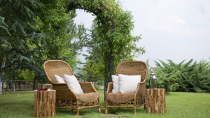 Read more about the article Garden Improvements ‘Can Increase Property Value’  