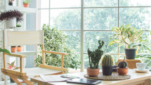Read more about the article 10 Essential Things To Keep Your Home Looking Great All Year
