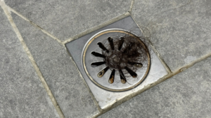 Read more about the article Common Causes of Clogged Drains and How to Avoid Them