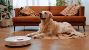 Read more about the article How to Maintain a Clean Home with Pets: Effective Strategies for Pet Owners