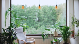 Read more about the article Low Maintenance Home Garden: Simple Tips for Effortless Beauty